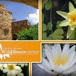 Today's Austin Groupon = Free Admission to DFW-Area Gardens