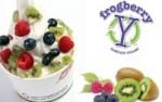 Half Off Frozen Yogurt & More at Frogberry