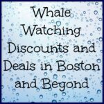 Whale Watching Boston Deals