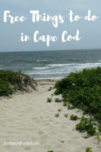 Cape Cod, MA Free Things to Do