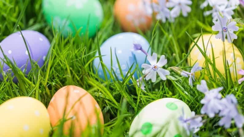 2021 Easter Egg Hunts in Dallas Fort Worth - Events For Kids, Toddler & Adults
