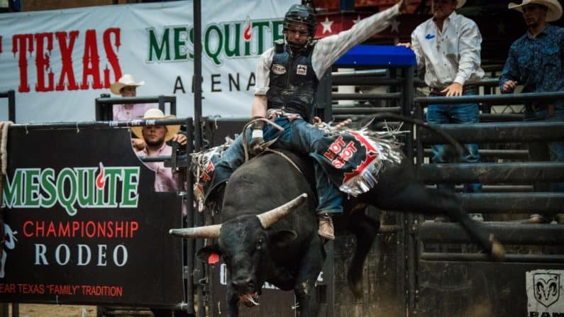 Things to do in Dallas with kids this weekend: Mesquite Championship Rodeo