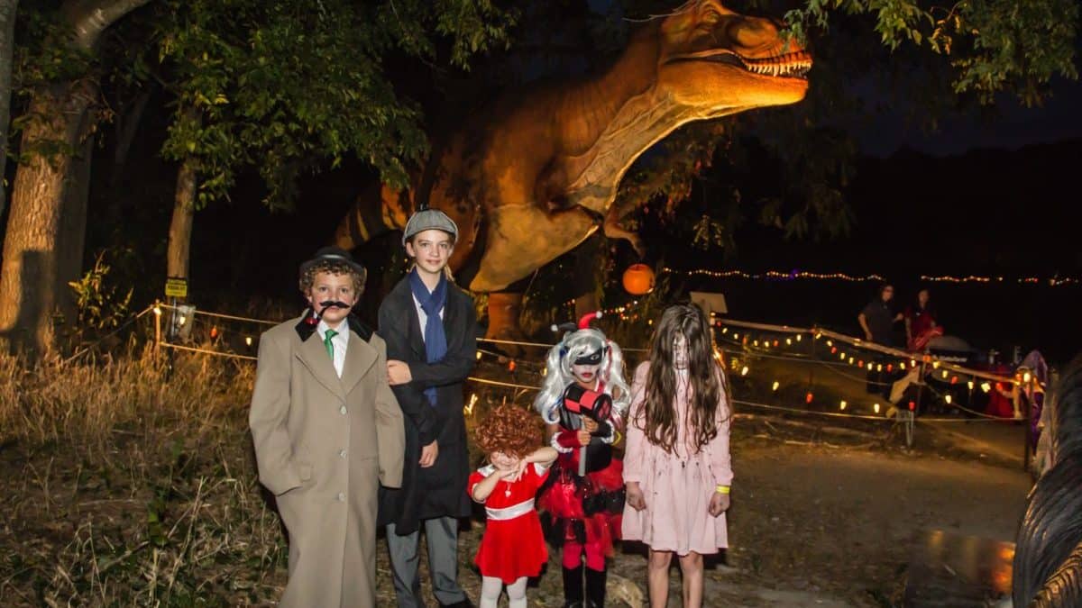 Things to do in Dallas with kids this weekend | Halloween at the Heard