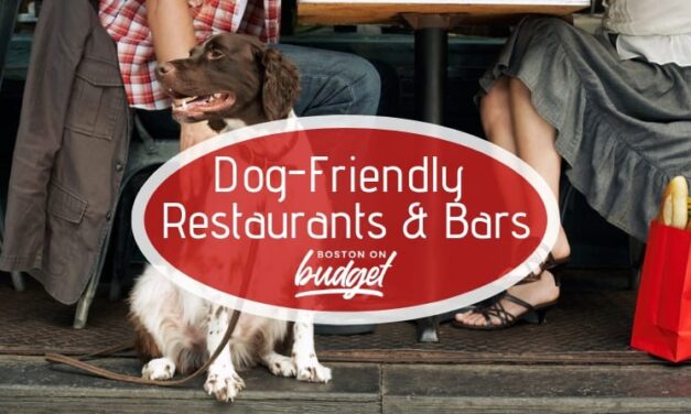 The Best Dog-Friendly Bars and Restaurants in Boston