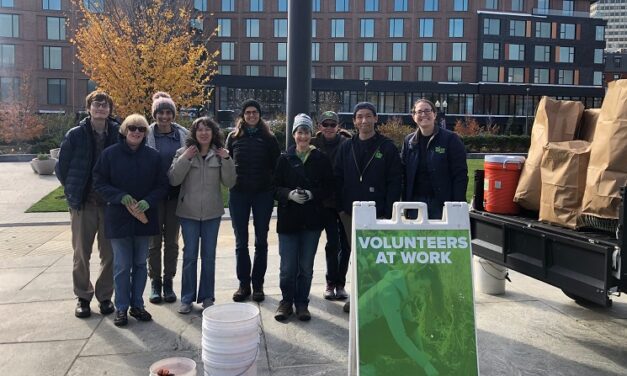 10 Christmas Volunteering Opportunities in Boston: Holiday Giving campaigns 2021