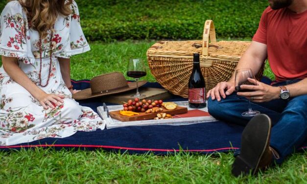 The Best Picnic Spots in Boston