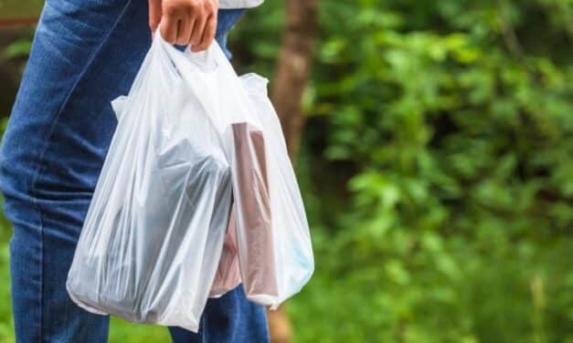 Boston’s Plastic Bag Ban Is Temporarily Lifted