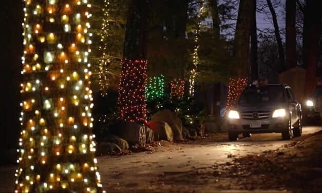 Southwick’s Zoo Lights – Drive -Thru Light Show in Boston