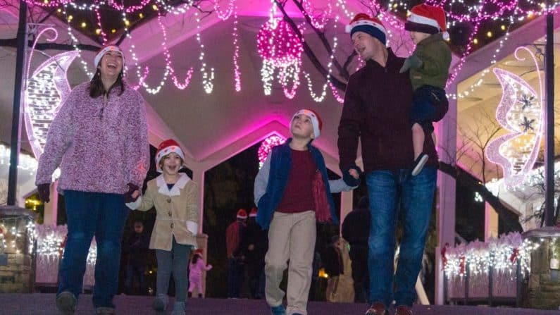 Things to do in Dallas with kids this weekend of November 18 | Dallas Zoo Lights
