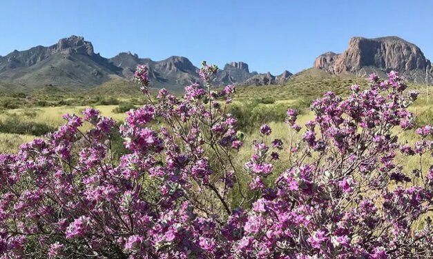 Here’s the Free National Park Days Schedule for 2020