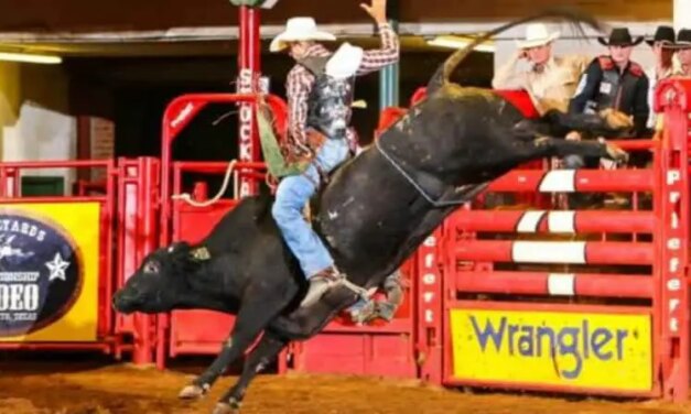 Fort Worth Stockyards Rodeo: Coupons, Tickets, Schedule, and More