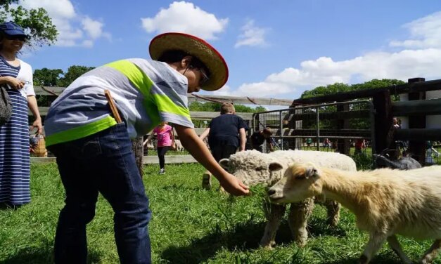 “Spring Into Nash” at Nash Farm Returns This April