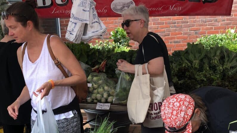 farmers market near me today boston