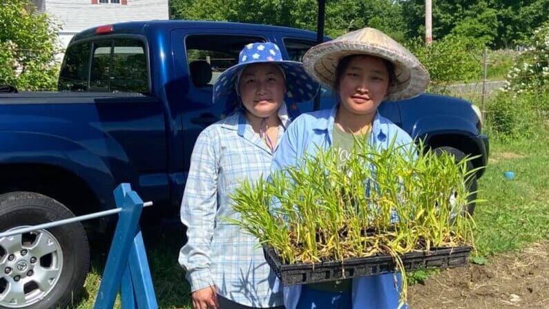 local farmers market near me boston