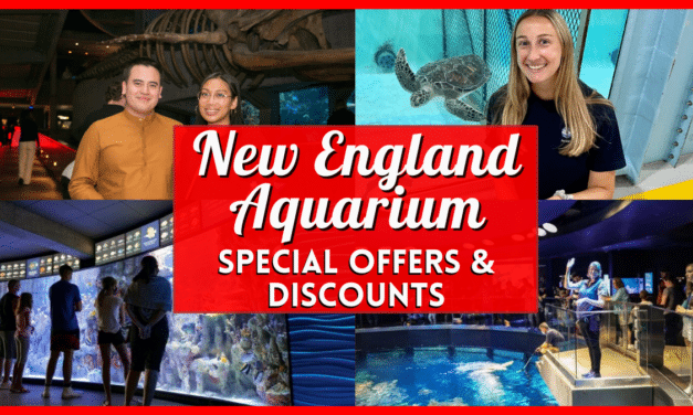 New England Aquarium Discount Tickets, Special Offers, Coupon Codes, & More!