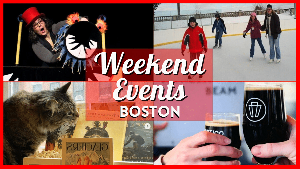 Things to do in Boston this Weekend of March 1 include the A Sanctuary Cafe Cat Café Opening, Magnificent Monster Circus, & More!