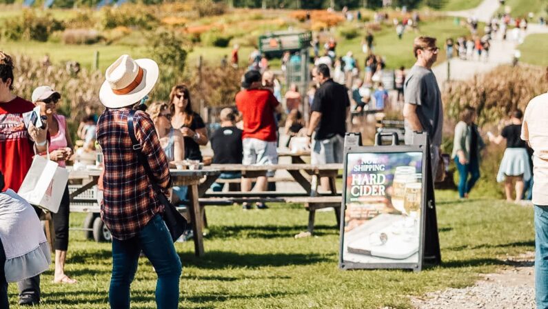 Fall Friday at Cider Hill Farm