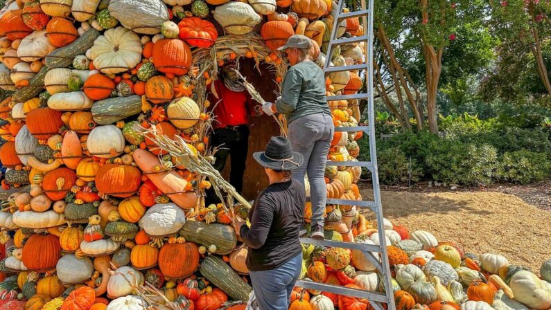 Pumpkins & Pints Nights