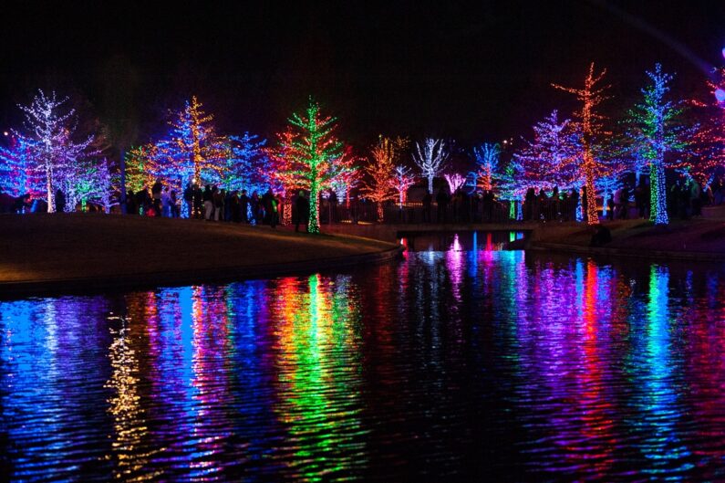 dallas christmas lights 2024